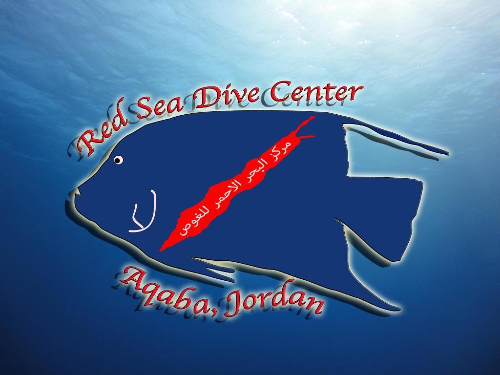 Hotel Red Sea Dive Center Akaba Exteriér fotografie