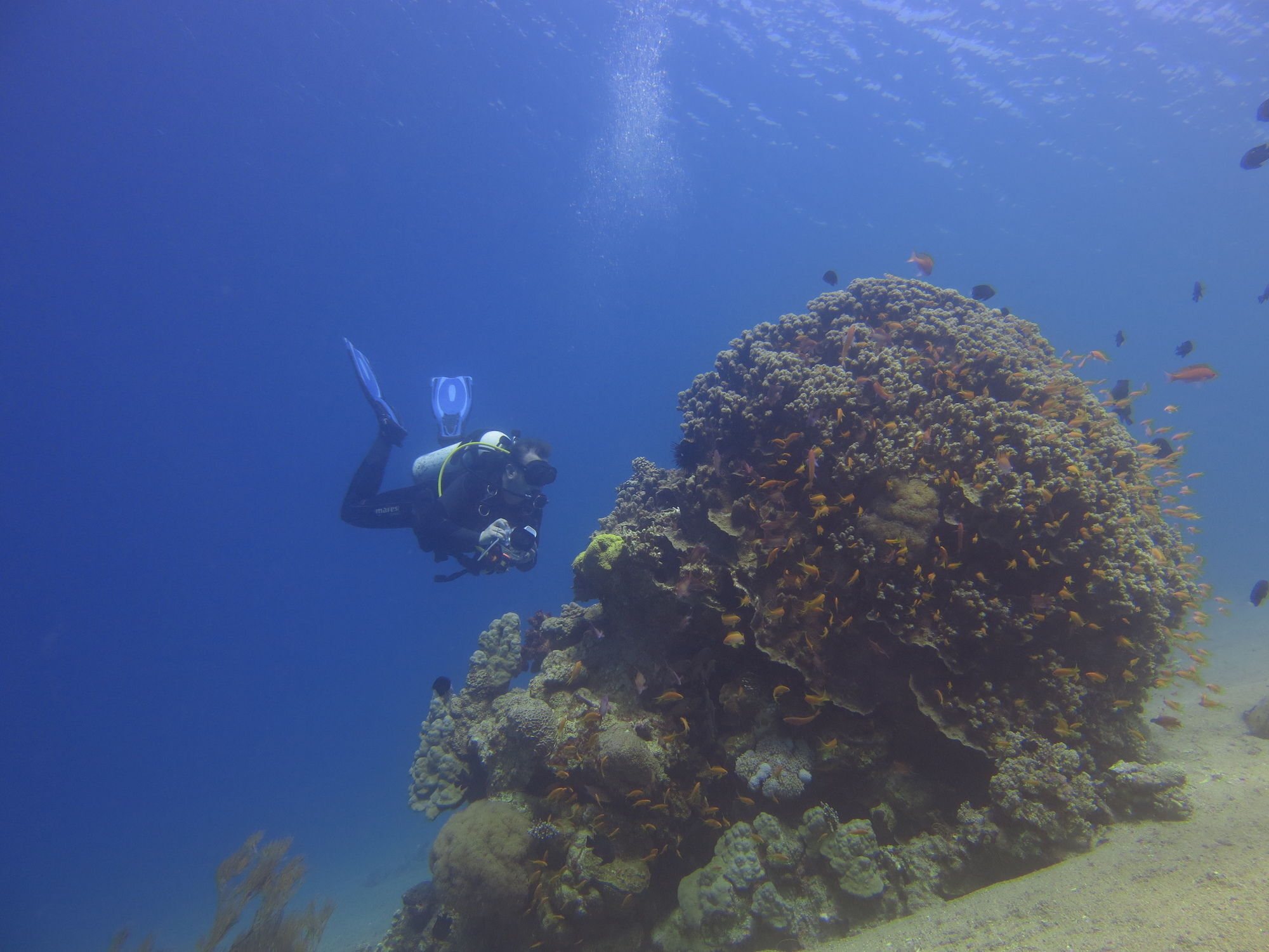 Hotel Red Sea Dive Center Akaba Exteriér fotografie